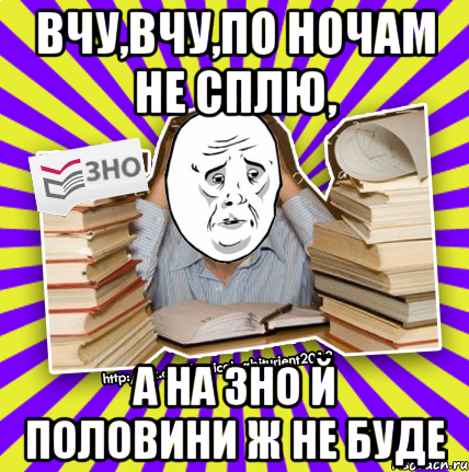 вчу,вчу,по ночам не сплю, а на зно й половини ж не буде, Мем Окей