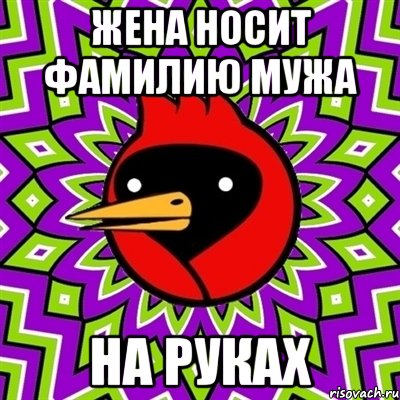 жена носит фамилию мужа на руках, Мем Омская птица