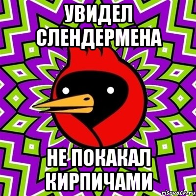 увидел слендермена не покакал кирпичами, Мем Омская птица