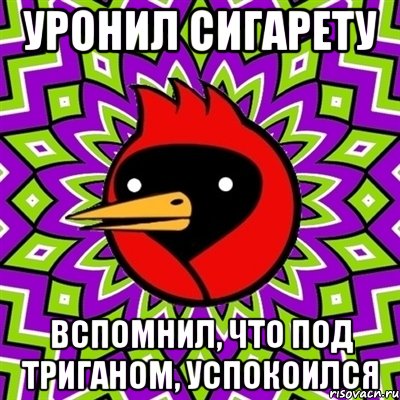 уронил сигарету вспомнил, что под триганом, успокоился, Мем Омская птица