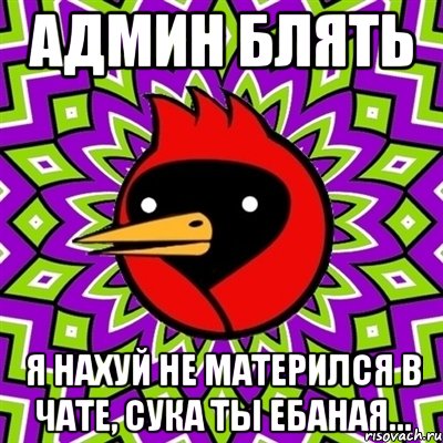 админ блять я нахуй не матерился в чате, сука ты ебаная..., Мем Омская птица