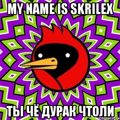 my name is skrilex ты чё дурак чтоли, Мем Омская птица