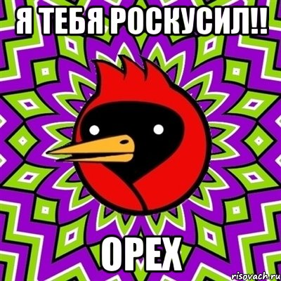 я тебя роскусил!! орех, Мем Омская птица