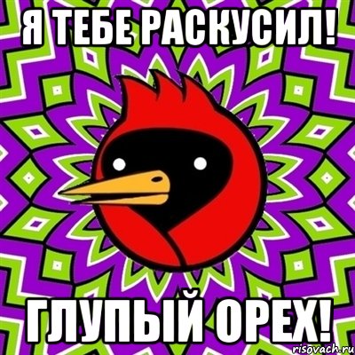 я тебе раскусил! глупый орех!, Мем Омская птица