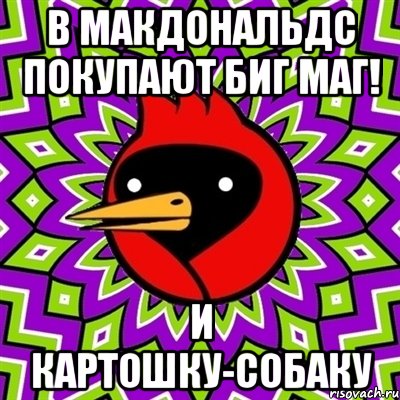 в макдональдс покупают биг маг! и картошку-собаку, Мем Омская птица