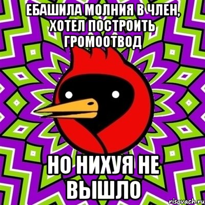 ебашила молния в член, хотел построить громоотвод но нихуя не вышло, Мем Омская птица