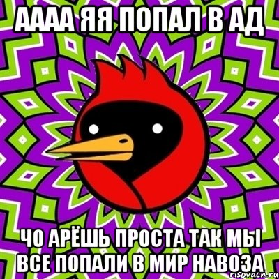 аааа яя попал в ад чо арёшь проста так мы все попали в мир навоза, Мем Омская птица