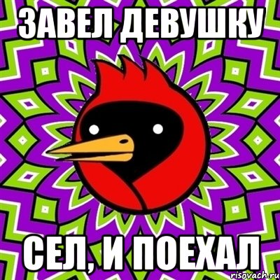 завел девушку сел, и поехал, Мем Омская птица