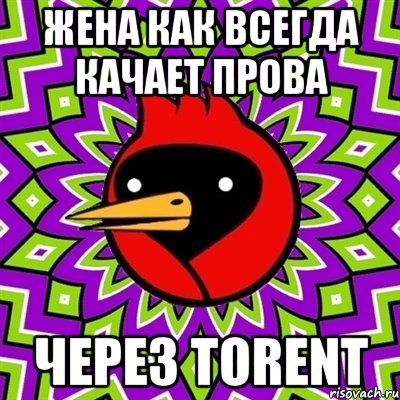 жена как всегда качает прова через torent, Мем Омская птица