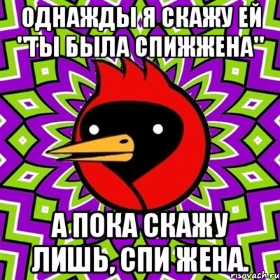 однажды я скажу ей "ты была спижжена" а пока скажу лишь, спи жена., Мем Омская птица