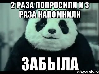 2 раза попросили и 3 раза напомнили забыла, Мем Не отказывай панде