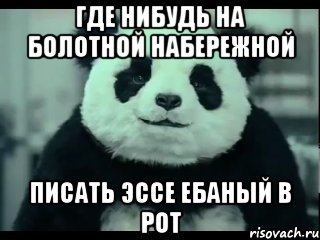 где нибудь на болотной набережной писать эссе ебаный в рот, Мем Не отказывай панде