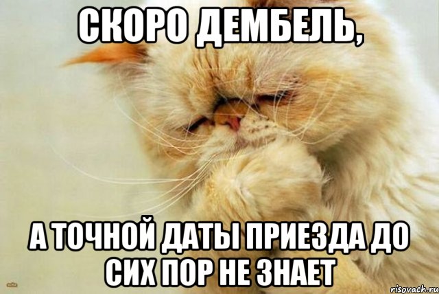 скоро дембель, а точной даты приезда до сих пор не знает, Мем пичалька