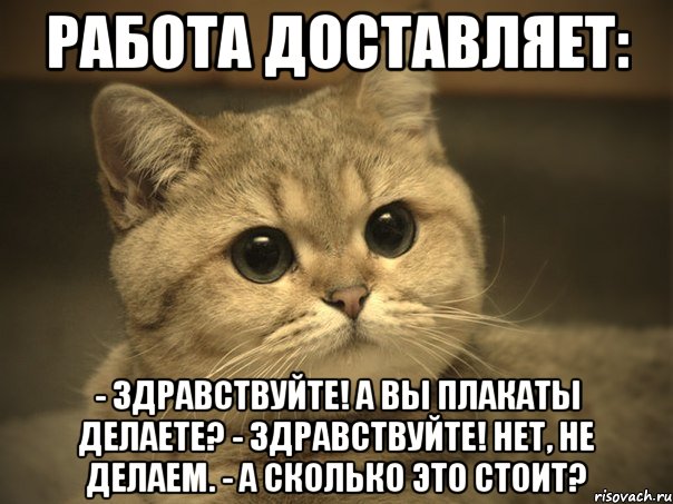 работа доставляет: - здравствуйте! а вы плакаты делаете? - здравствуйте! нет, не делаем. - а сколько это стоит?, Мем Пидрила ебаная котик