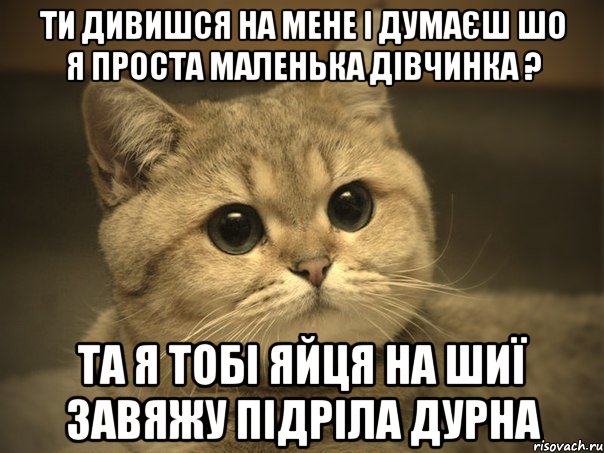 ти дивишся на мене і думаєш шо я проста маленька дівчинка ? та я тобі яйця на шиї завяжу підріла дурна, Мем Пидрила ебаная котик