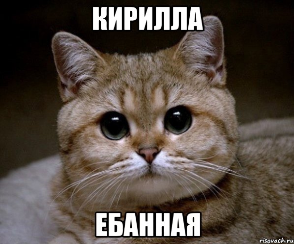 кирилла ебанная, Мем Пидрила Ебаная