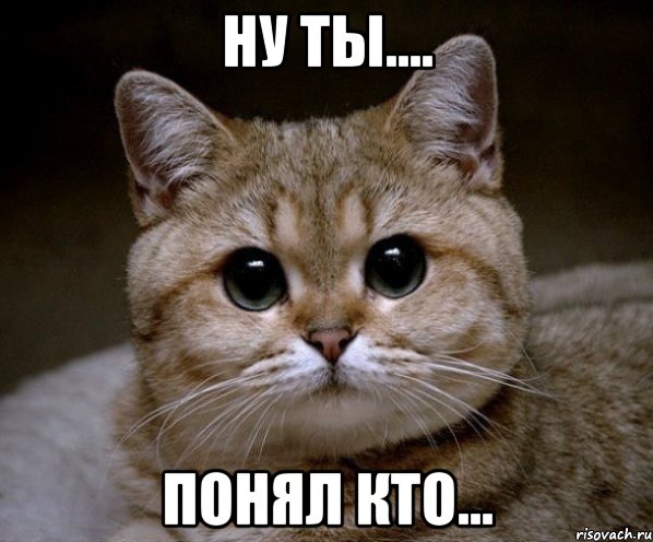 ну ты.... понял кто..., Мем Пидрила Ебаная