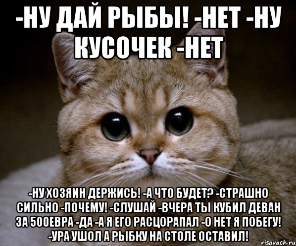 -ну дай рыбы! -нет -ну кусочек -нет -ну хозяин держись! -а что будет? -страшно сильно -почему! -слушай -вчера ты кубил деван за 500евра -да -а я его расцорапал -о нет я побегу! -ура ушол а рыбку на столе оставил!, Мем Пидрила Ебаная