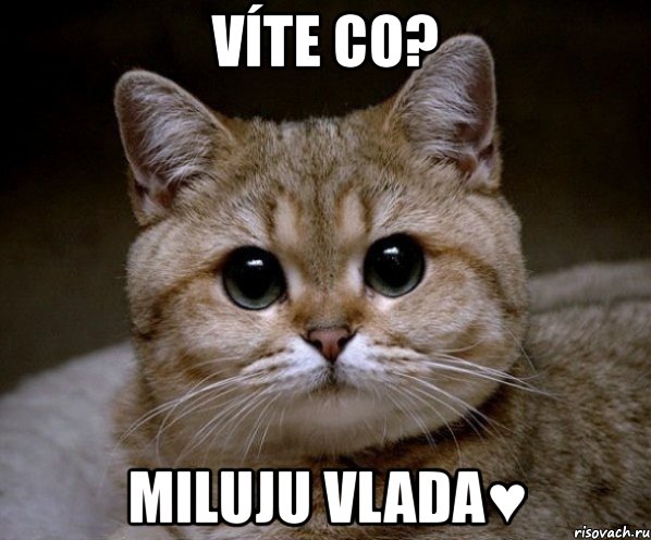 víte co? miluju vlada♥, Мем Пидрила Ебаная