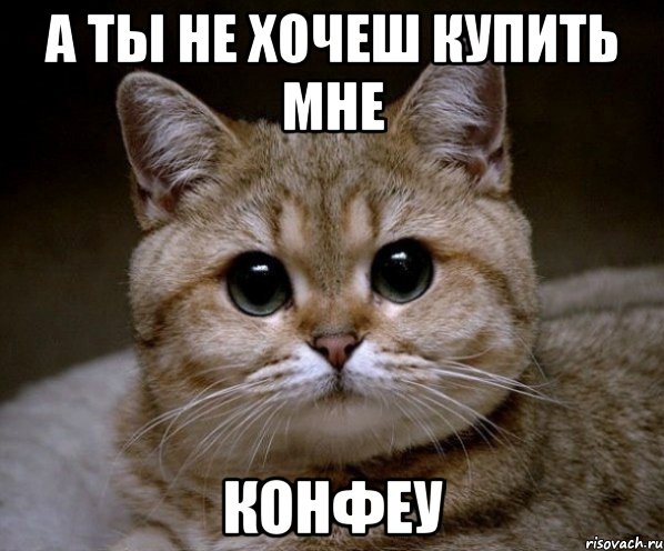 а ты не хочеш купить мне конфеу, Мем Пидрила Ебаная