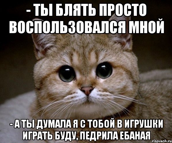 - ты блять просто воспользовался мной - а ты думала я с тобой в игрушки играть буду, педрила ебаная, Мем Пидрила Ебаная