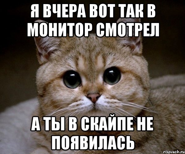 я вчера вот так в монитор смотрел а ты в скайпе не появилась, Мем Пидрила Ебаная