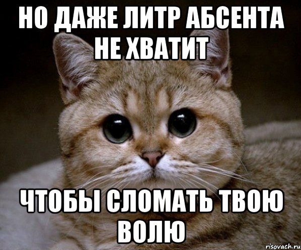 но даже литр абсента не хватит чтобы сломать твою волю, Мем Пидрила Ебаная