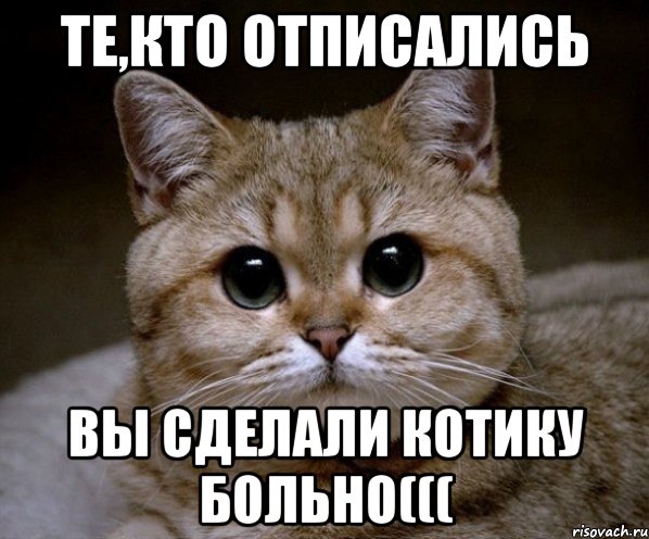 те,кто отписались вы сделали котику больно(((, Мем Пидрила Ебаная