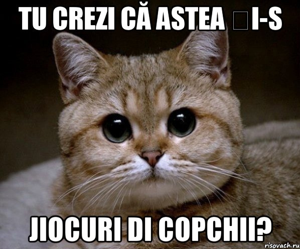 tu crezi că astea ți-s jiocuri di copchii?, Мем Пидрила Ебаная