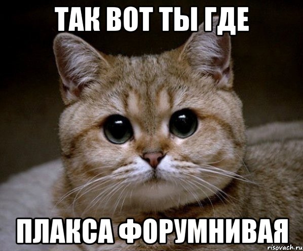 так вот ты где плакса форумнивая, Мем Пидрила Ебаная