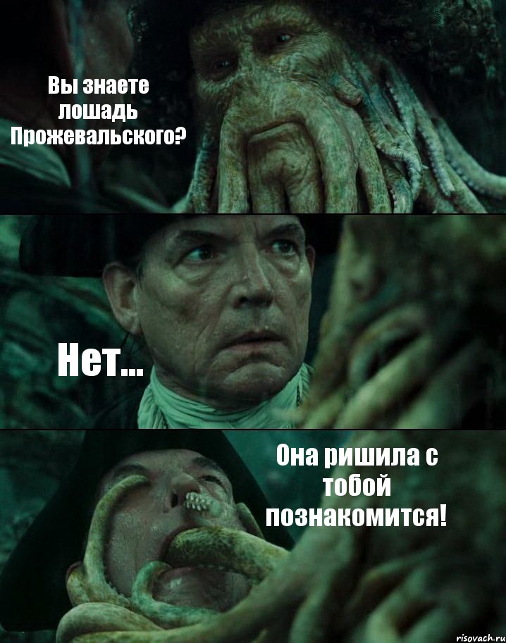 Вы знаете лошадь Прожевальского? Нет... Она ришила с тобой познакомится!, Комикс Пираты Карибского моря