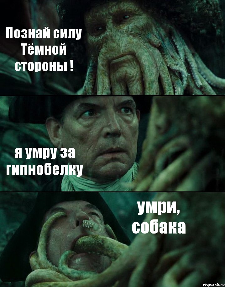 Познай силу Тёмной стороны ! я умру за гипнобелку умри, собака, Комикс Пираты Карибского моря