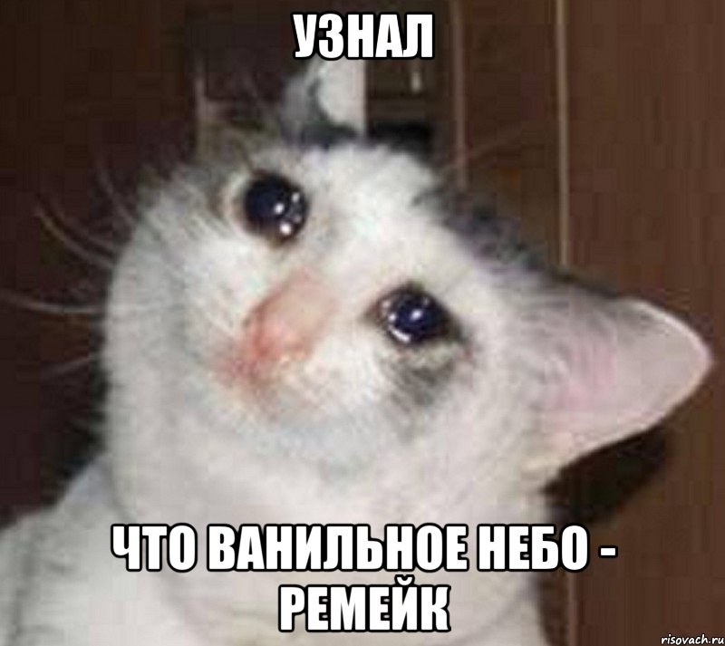 узнал что ванильное небо - ремейк