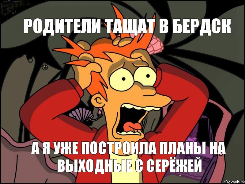 Родители тащат в Бердск А я уже построила планы на выходные с Серёжей, Мем Фрай в панике