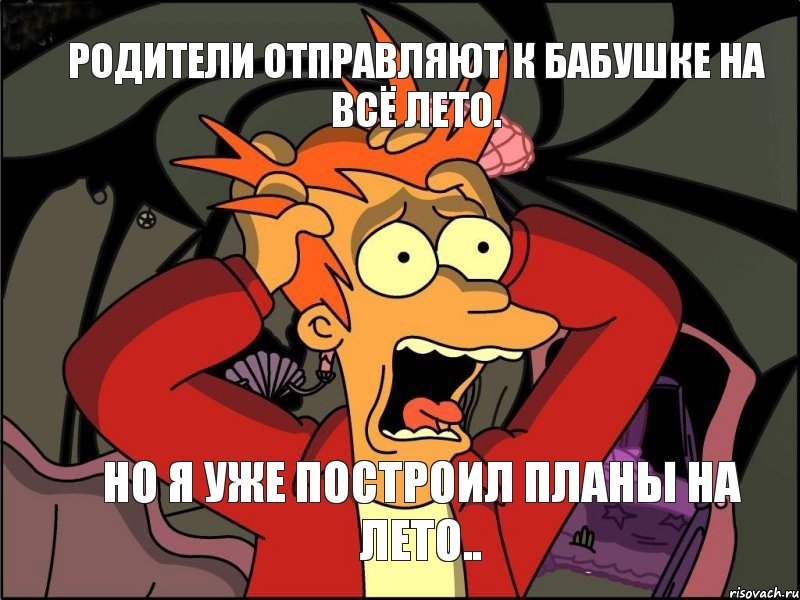 родители отправляют к бабушке на всё лето. но я уже построил планы на лето.., Мем Фрай в панике