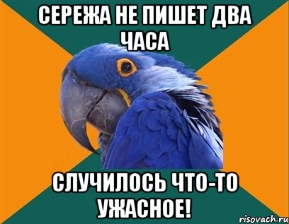 сережа не пишет два часа случилось что-то ужасное!, Мем Попугай параноик