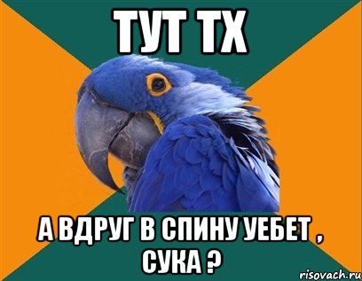 тут тх а вдруг в спину уебет , сука ?, Мем Попугай параноик