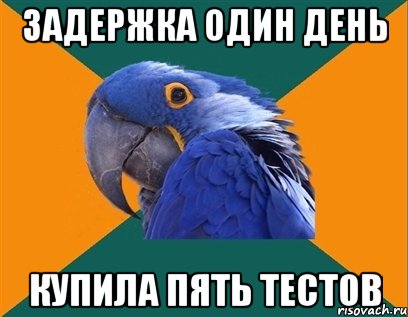 задержка один день купила пять тестов, Мем Попугай параноик