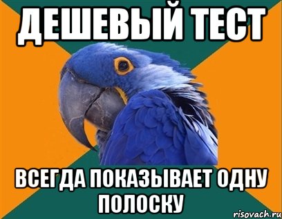 дешевый тест всегда показывает одну полоску, Мем Попугай параноик