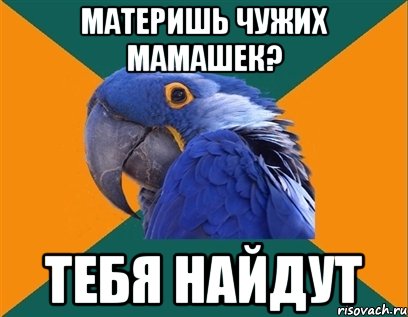 материшь чужих мамашек? тебя найдут, Мем Попугай параноик