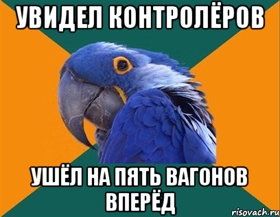 увидел контролёров ушёл на пять вагонов вперёд, Мем Попугай параноик