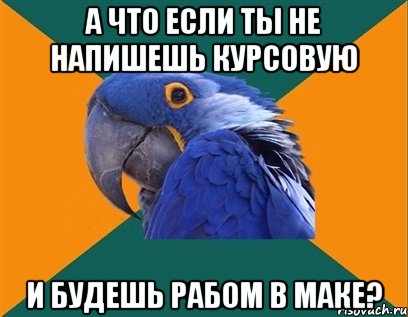 а что если ты не напишешь курсовую и будешь рабом в маке?, Мем Попугай параноик