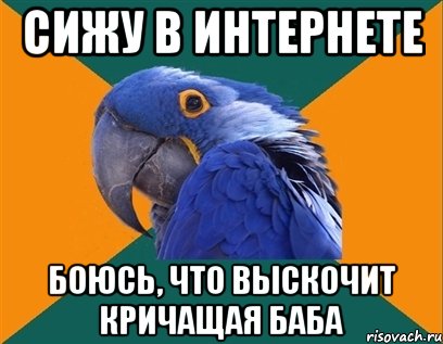 сижу в интернете боюсь, что выскочит кричащая баба, Мем Попугай параноик