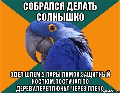 собрался делать солнышко одел шлем,2 пары лямок,защитный костюм,постучал по дереву,переплюнул через плечо, Мем Попугай параноик