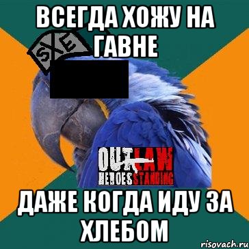 всегда хожу на гавне даже когда иду за хлебом, Мем попугай харкорщик