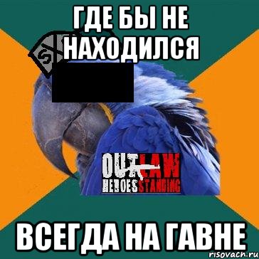 где бы не находился всегда на гавне, Мем попугай харкорщик