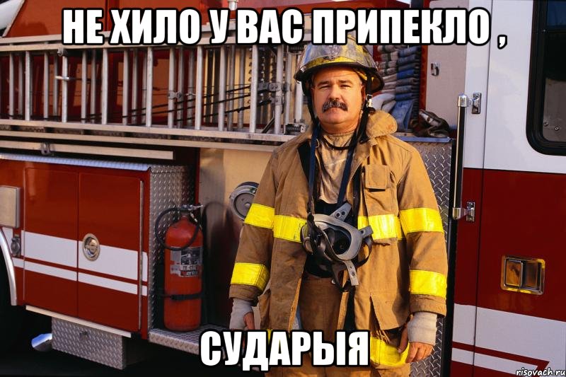 не хило у вас припекло , сударыя