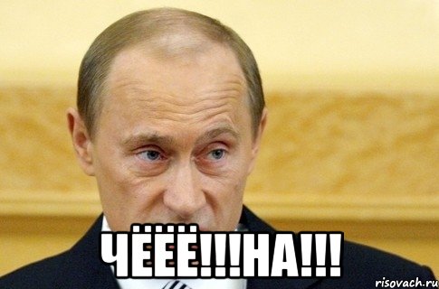  чёёё!!!на!!!, Мем путин