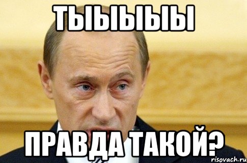 тыыыыы правда такой?, Мем путин