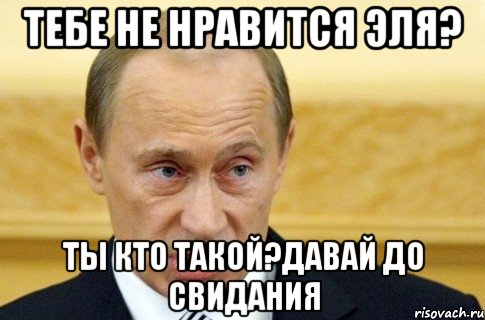 тебе не нравится эля? ты кто такой?давай до свидания, Мем путин